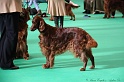 Crufts2011 027